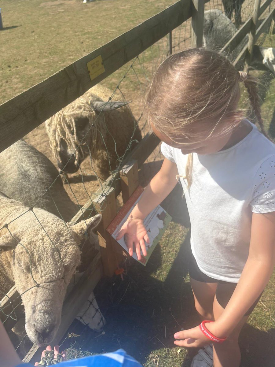 GCPYEAR2's tweet photo. We had a great time today at @nunnysfarmcic meeting the animals and revisiting our learning from our #gcpscience and #gcpgeography lessons! @PrimaryGreat #Community #DelightandJoy https://t.co/T0p5SYLauF