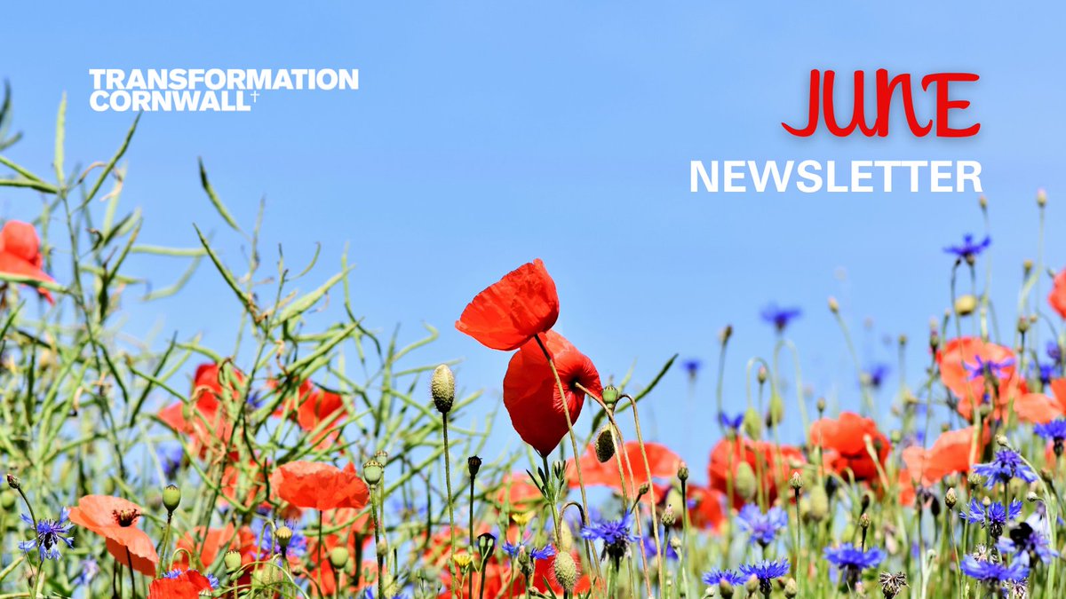 📣 Our June Newsletter is out!
Inside this issue, read about:
- Upcoming webinar on writing a winning funding application
- Online safety &amp; illegal money lending guidance
- Fully funded Community Leadership Programme starting soon
...and much more!
More👉 rb.gy/d6aoup
