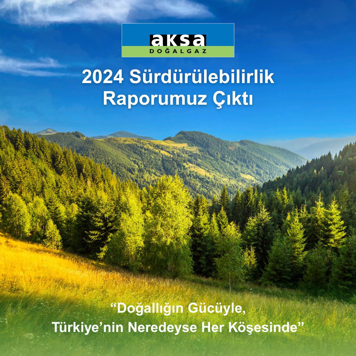 Bu toprakların değerlerinden güç alan Aksa Doğalgaz olarak "Doğallığın Gücüyle, Türkiye'nin Neredeyse Her Köşesinde" diyerek çevresel, sosyal ve yönetişim alanlarında attığımız adımları ve hedeflerimizi paylaştığımız raporumuzu keyifle okumanız dileğiyle.
aksa.co/gAh