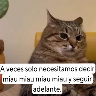ymuchosmemes's tweet photo. https://t.co/qe7Oy45ptf