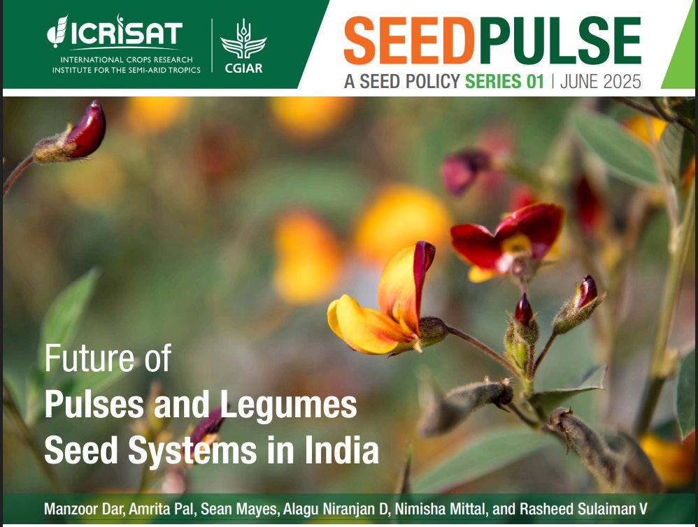 CRISP (@crisp_india) on Twitter photo #UPDATE
Check out our new policy brief with <a href="/ICRISAT/">ICRISAT</a>:
“Future of Pulses & Legumes Seed Systems in India”
👉 Solutions for inclusive, resilient & farmer-driven systems.
🔗 oar.icrisat.org/13184/
<a href="/mhdarson/">Manzoor Dar</a> <a href="/imamritapal/">Amrita Pal</a> <a href="/Alagu_Niranjan/">D. Alagu Niranjan (DAN)</a> <a href="/nimisha_mittal/">Nimisha Mittal</a> #UPDATE
Check out our new policy brief with <a href="/ICRISAT/">ICRISAT</a>:
“Future of Pulses & Legumes Seed Systems in India”
👉 Solutions for inclusive, resilient & farmer-driven systems.
🔗 oar.icrisat.org/13184/
<a href="/mhdarson/">Manzoor Dar</a> <a href="/imamritapal/">Amrita Pal</a> <a href="/Alagu_Niranjan/">D. Alagu Niranjan (DAN)</a> <a href="/nimisha_mittal/">Nimisha Mittal</a>