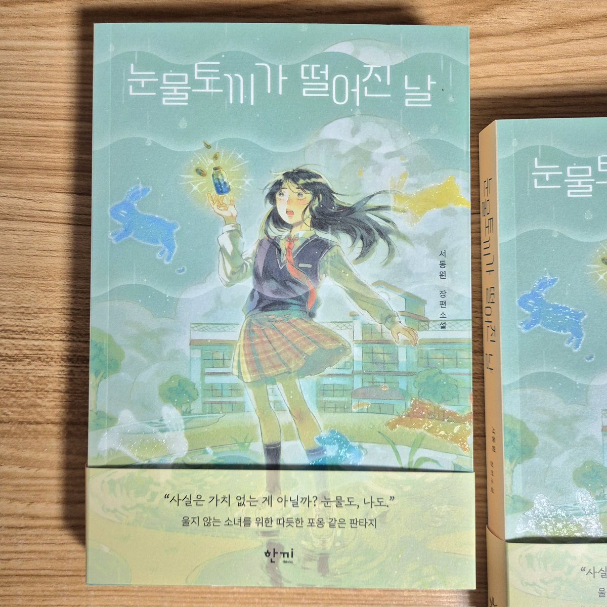silk_n_grace's tweet image. 출판사 오팬하우스의 레이블 '한끼'에서 출간된
청소년 장편 소설 &lt;눈물토끼가 떨어진 날&gt;의 표지 일러스트를 작업했습니다:)
눈물을 흘려내기보다는 참는 날이 더 많은 오늘날의 사람들에게 추천하고 싶은 이야기였습니다🥲🐇