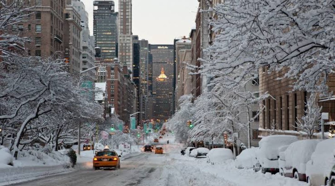 England Papi 🏴󠁧󠁢󠁥󠁮󠁧󠁿🐺 tweet media