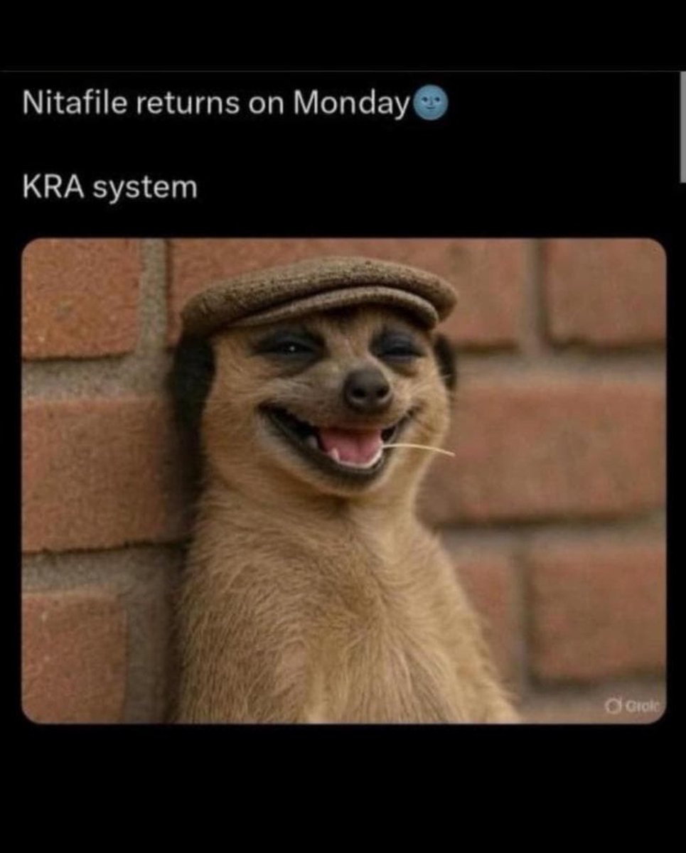 RityMso's tweet photo. Dear @KRACare, 1 more week won't hurt. Just give us till Friday to file our returns, we'll try and file on Thursday evening🫣 https://t.co/mAjFNSV4ZV