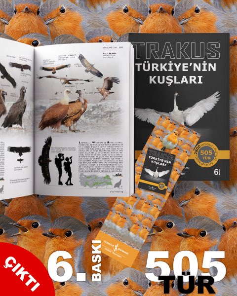 ‘TRAKUS Türkiye’nin Kuşları’ kitabının altıncı baskısı raflardaki yerini aldı ve artık İş Bankası Kültür Yayınları satış portalında da erişilebilir.