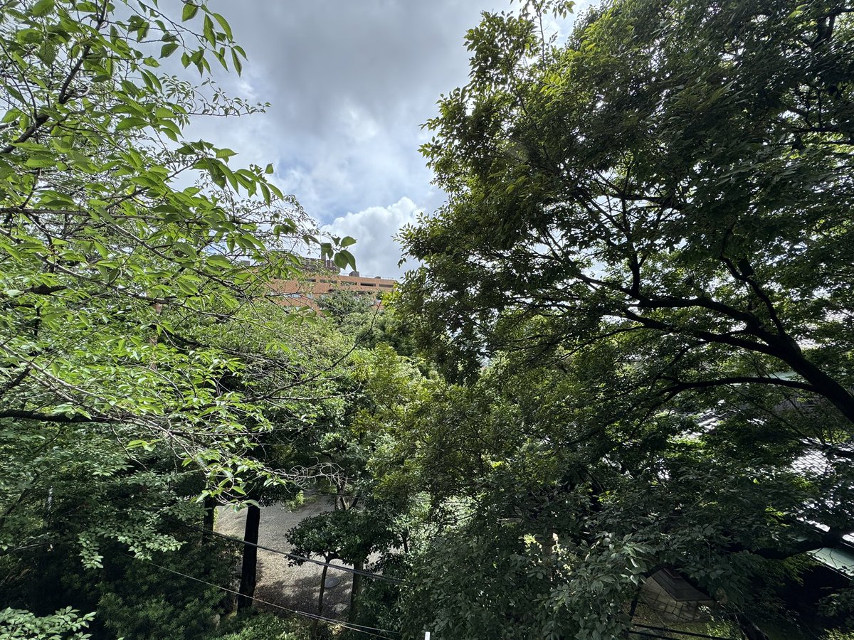 Kenichiro Hara | Coreline Ventures tweet media