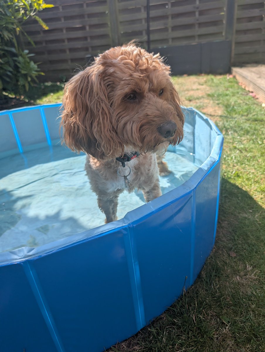 Element7991's tweet image. Best day for his paddling pool to be out