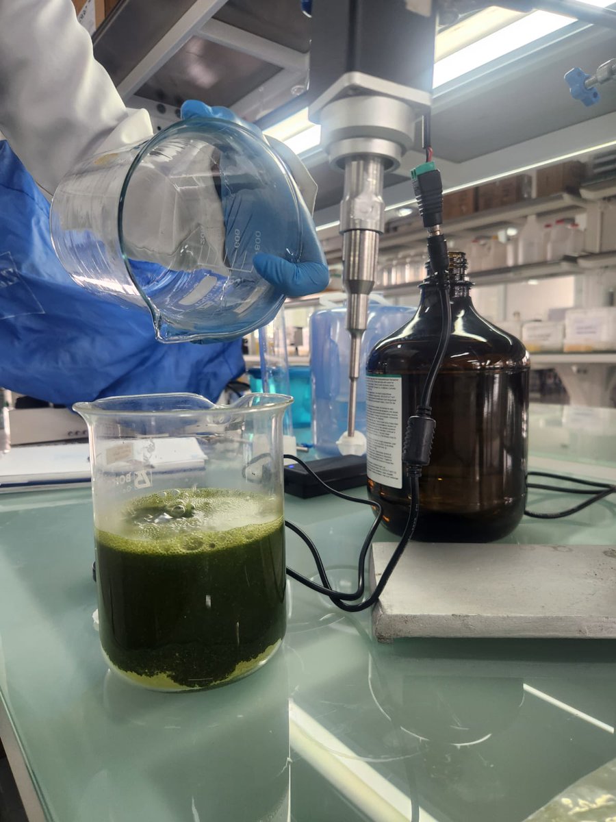 jarrin_v's tweet photo. En el lab de @INABIO_EC iniciamos una nueva línea de producción: la bioprospección de componentes activos en🌱de la región amazónica. Hasta hoy hemos colectado 60 kg de 30 especies amazónicas e iniciado la producción de extractos vegetales. Proyecto con apoyo del @el_BID.🧪🥼⚗️🧫 https://t.co/am8V3AXOOX