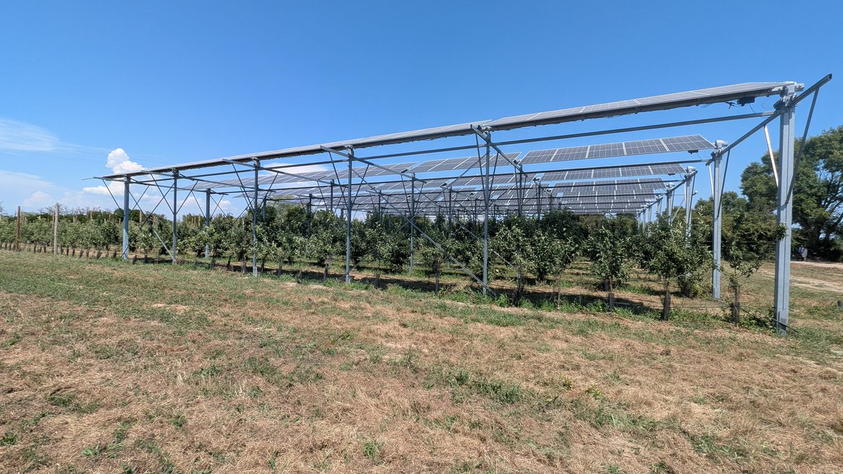 🍎 En direct de #Marsillargues dans l'#Herault pour l'inauguration de l'expérimentateur #agrivoltaique sur pommiers #EVAPORE 

🍏 Le projet étudiera pendant au moins 3 ans les effets des panneaux solaires sur les pommiers et leur #environnement.

 <a href="/EDFofficiel/">EDF</a> <a href="/EDF_power/">EDF power solutions</a> <a href="/ademe/">ADEME</a>