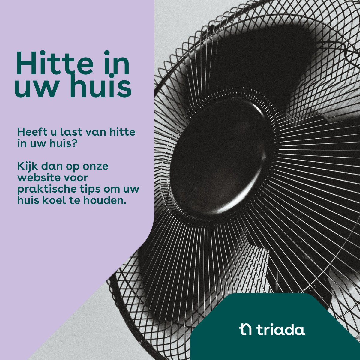 𝗛𝗶𝘁𝘁𝗲 𝗶𝗻 𝘂𝘄 𝘄𝗼𝗻𝗶𝗻𝗴

Wist u dat op onze website een aantal handige tips staan om uw woning koel te houden? Kijk snel op: triada.nl/mijn-triada/se….

#hitte #warmte #tips #woningcorporatie #epe #heerde #hattem