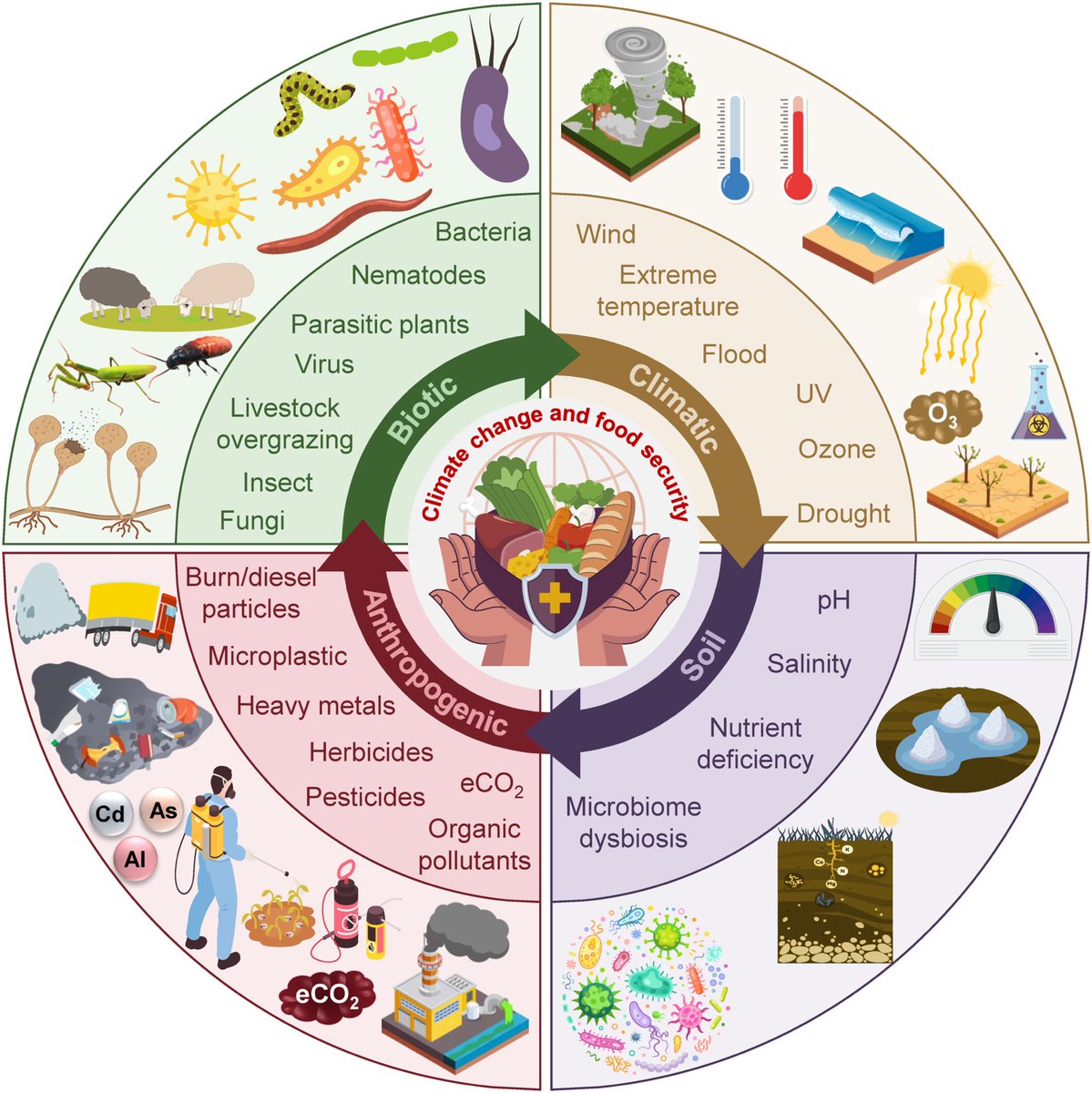 Happy to share that “J SUSTAIN AGRIC ENVIRON” has achieved its first #ImpactFactor of 3.6🥳🎉😍

Honored to have our recent article “Novel #Strategies for #Designing #Climate-Smart #Crops” published in this growing J🔥

Congrats to the #editorial team👏

🖇️onlinelibrary.wiley.com/doi/10.1002/sa…