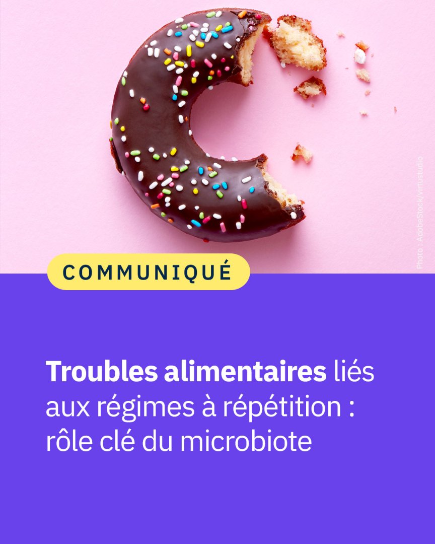 #Communiqué 🗞️ Pour la première fois, preuve est donnée du rôle clé du microbiote dans le risque d’apparition de troubles du comportement alimentaire liés à la répétition de régimes restrictifs qui s’accompagnent de reprises de poids. 🍽️

👉 cnrs.fr/fr/presse/trou…