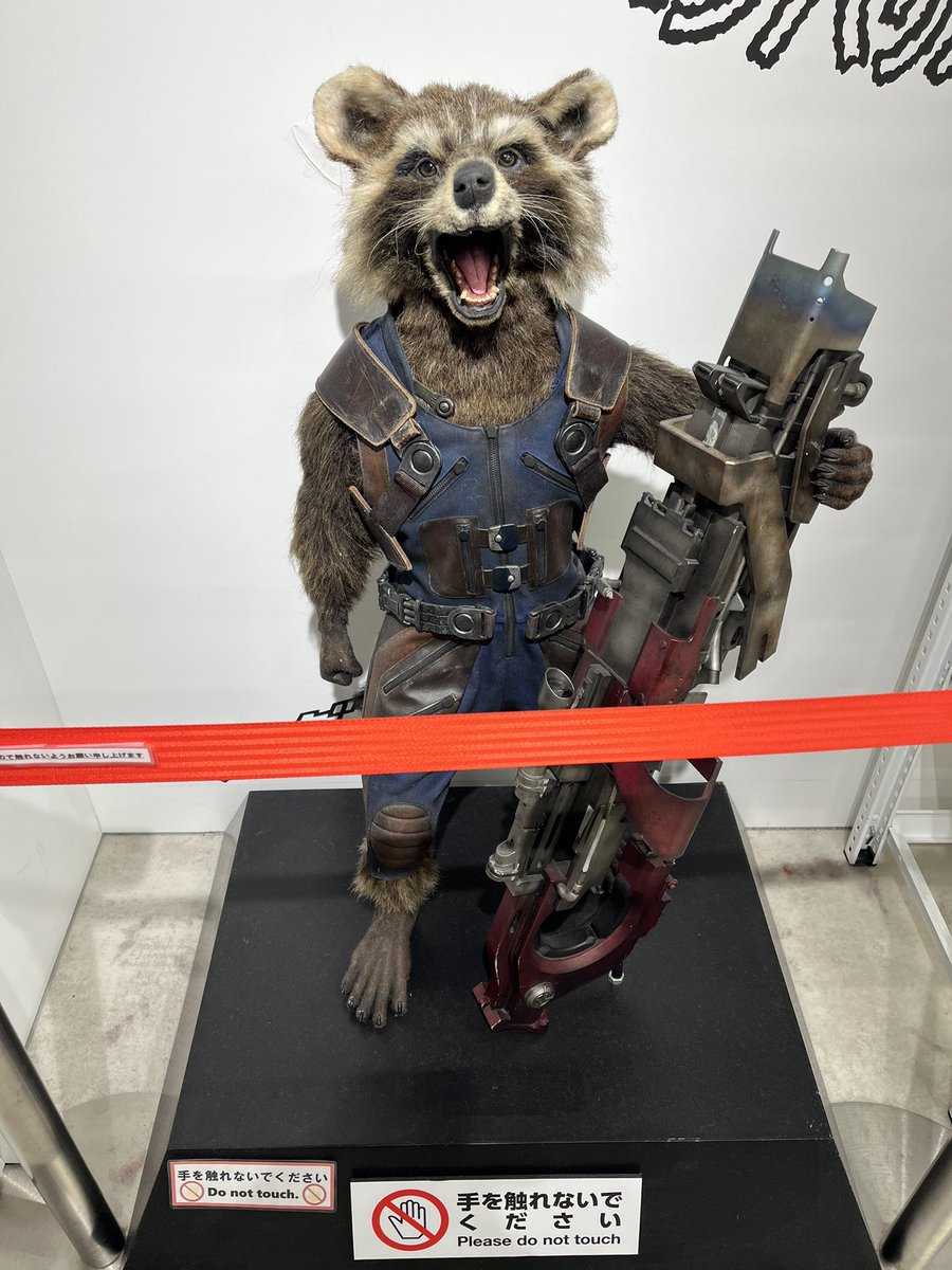 spidey_tk's tweet photo. @practicewthnews At Ikebukuro.
Rocket was there, too, haha.
There were lots of merch of Marvel! https://t.co/EGeOB1tUGJ
