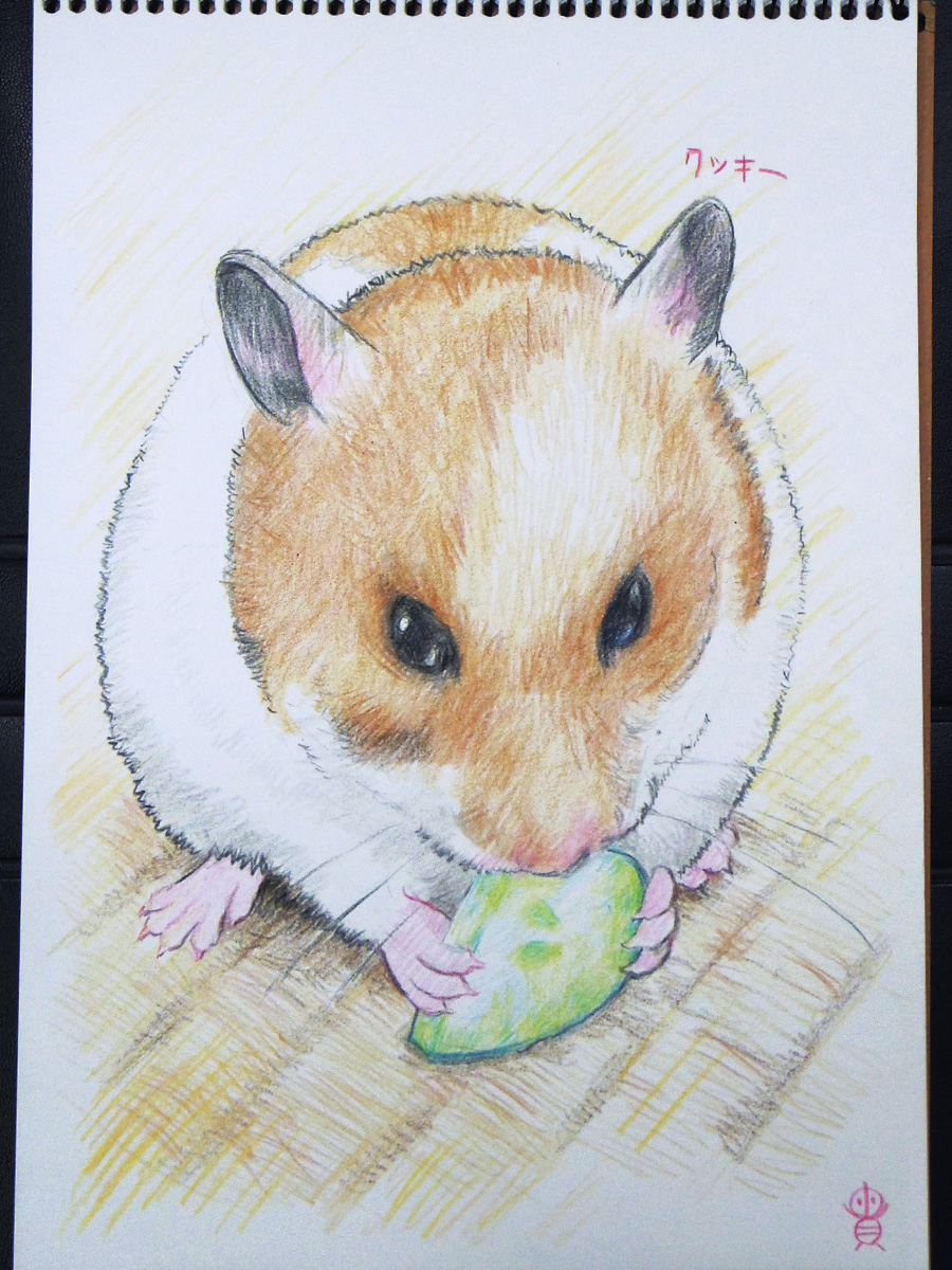 #今月描いた絵を晒そう 
最近自主制作全然できてない;
イベント似顔絵出店で描いたクッキーさんとレモンさん😊 