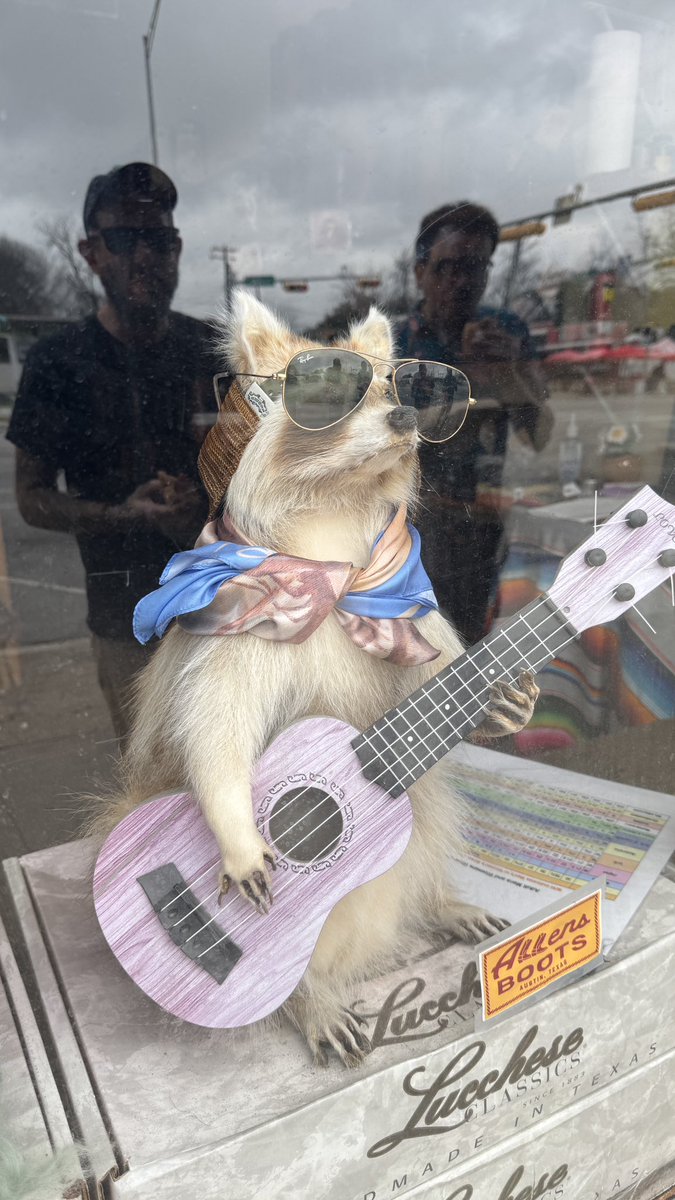 Good Morning, Gustavo tweet media