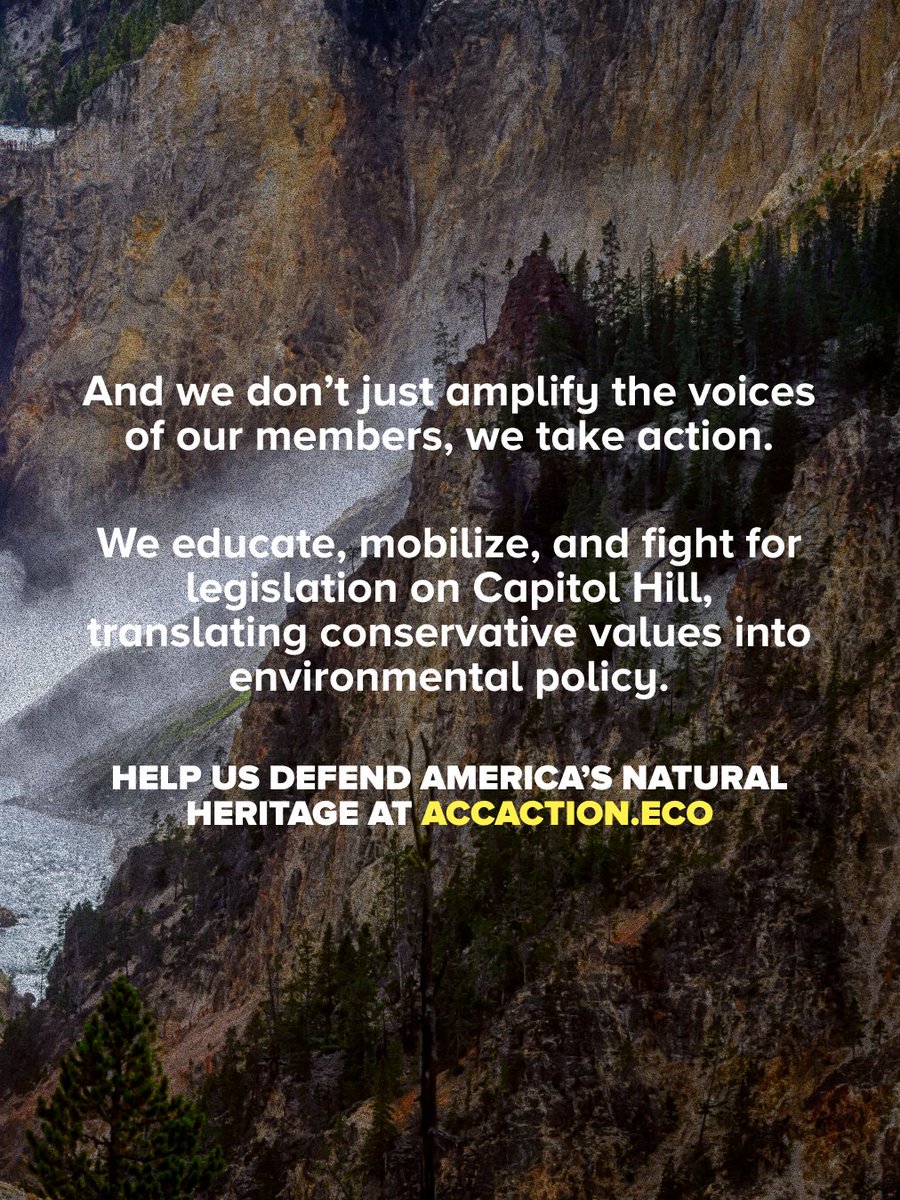 ACCAction's tweet image. Welcome to ACC Action, the voice of @ACC_national's grassroots members. We're fighting every day to translate conservative values into environmental action.
