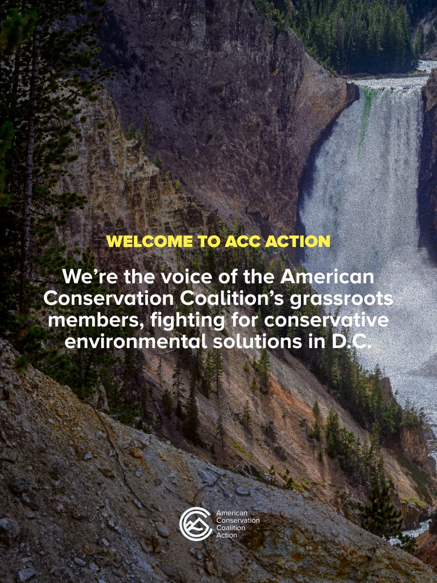 ACCAction's tweet image. Welcome to ACC Action, the voice of @ACC_national's grassroots members. We're fighting every day to translate conservative values into environmental action.