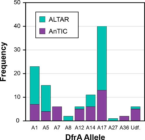 MicrobioSoc's tweet image. Trimethoprim resistance in Escherichia coli exhibits an allele-specific growth advantage. Published #OpenAccess and fee-free in #JMedMicro using a #PublishAndRead agreement: 
doi.org/10.1099/jmm.0.…