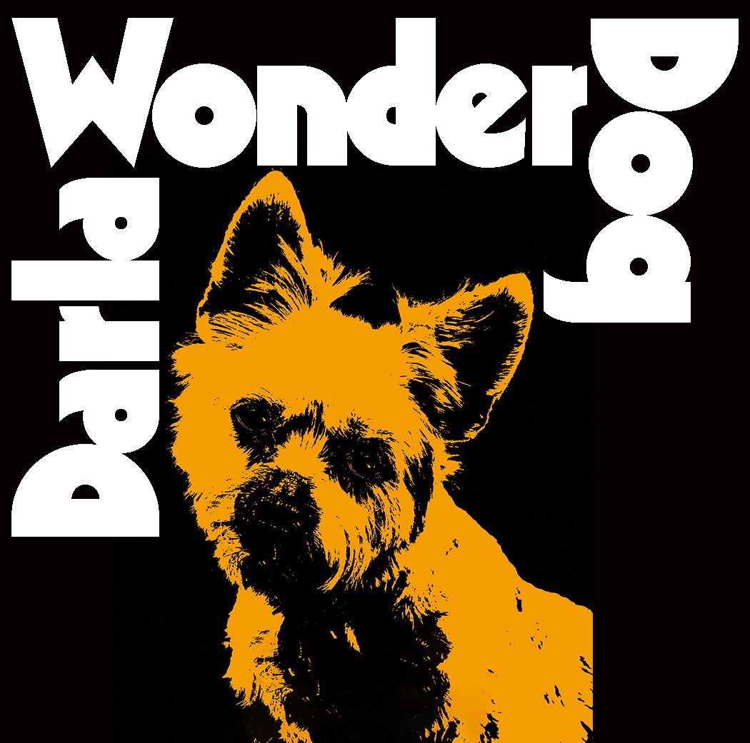 DarlaWonderDog's tweet photo. Darla the Wonder Dog reminds you to check out Ozzy Osbourne/Black Sabbath Tribute Week on @HardDriveRadio XL with @LouBrutus. #OzzyOsbourne #BlackSabbath https://t.co/hVaIK17HWj