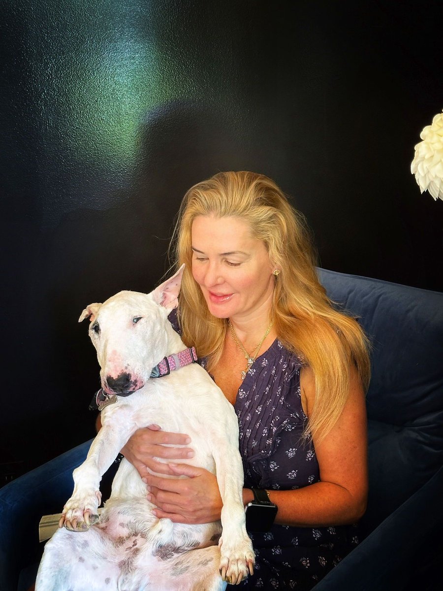 ashleyberges's tweet photo. Buddy is a great therapy dog. He listens! Sometimes he falls asleep when I’m talking,  but I think he’s still listening LOL Give your therapy dog, cat, or pig a hug from us. 

#dogs #bullterrier #minibullterrier #therapydog #lifecoaching #healthandwellness #family https://t.co/SZGU41Pqpp