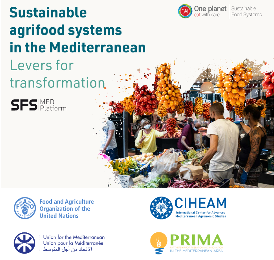 🔎Dive into expert knowledge and inspiring stories driving sustainable #AgrifoodSystems in the
#Mediterranean! Discover the new release of the #SFSMED digital tool 
doi.org/10.4060/cc8220…