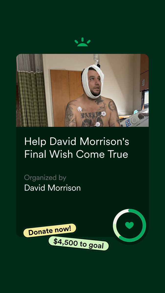 David Morrison (@davidmo52004755) on Twitter photo 