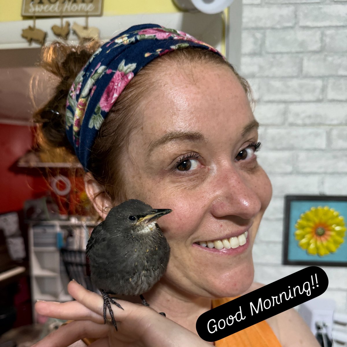 How is everyone this beautiful Monday morning?!?   Arthur hopes you are having a great start to the week!!
#rescuestarling #starling