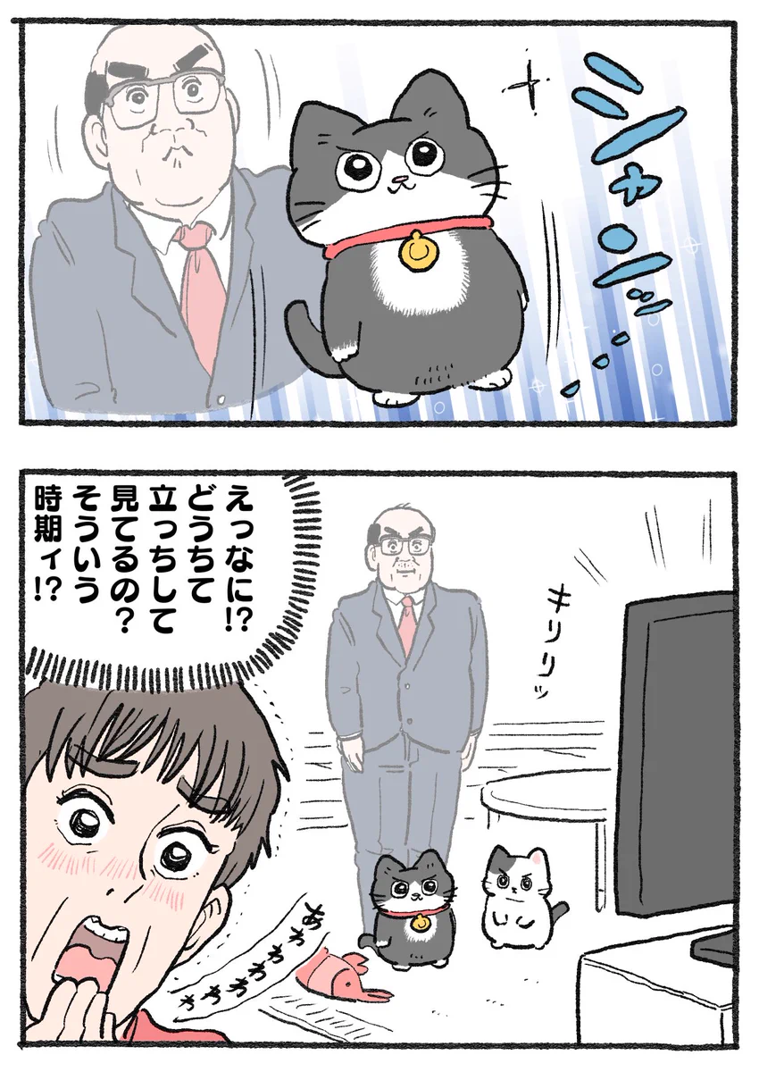 ymmn様　ご確認用　猫の不時着 GuselsUWoAA-Qy_?format=webp&