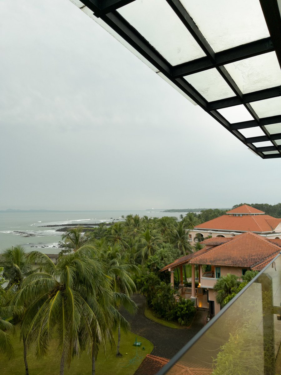 neilaaa ☀️ (@neeeilala) on Twitter photo 