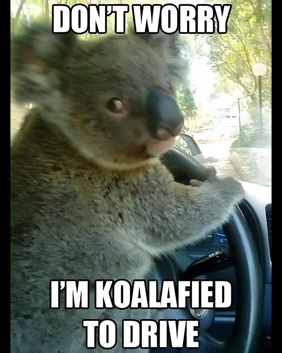 We all have that one friend who swears they’re the best driver on the road… 😅 This guy included. 🐨🚗

Good thing we’re actually koalafied to get you in the right ride at Jeff Wyler Automotive Family! 👉 wyler.com