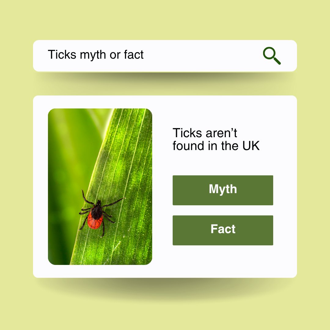 ❌ “Ticks aren’t in the UK.”
✅ Wrong. Very wrong.

One of our team’s teens schooled her class on tick risks during fieldwork, and she was right to do so.

Ticks are here, and they carry Lyme. Know the risks. Check for ticks. Stay safe.

#TickAwareness #LymeDiseaseUK