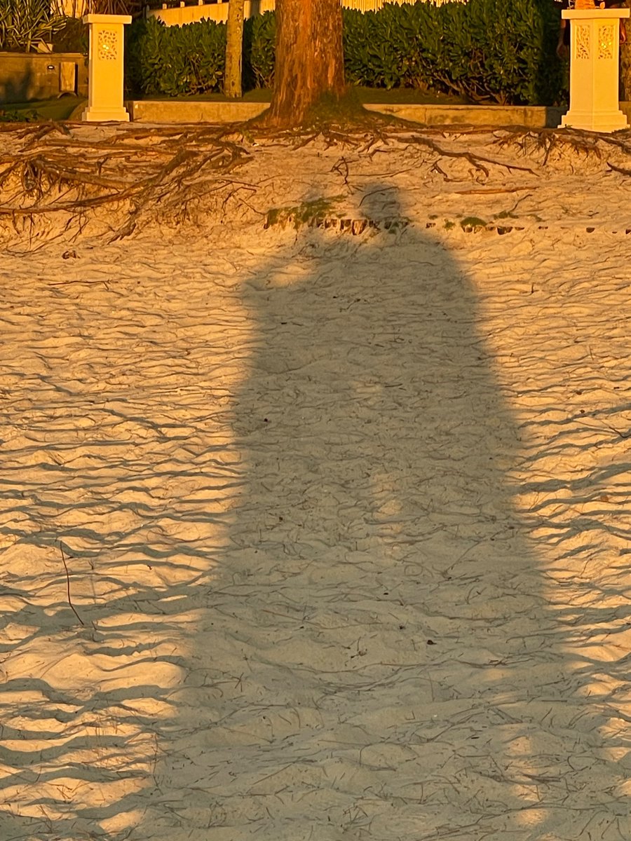 draftme_____'s tweet image. 🌅🧡