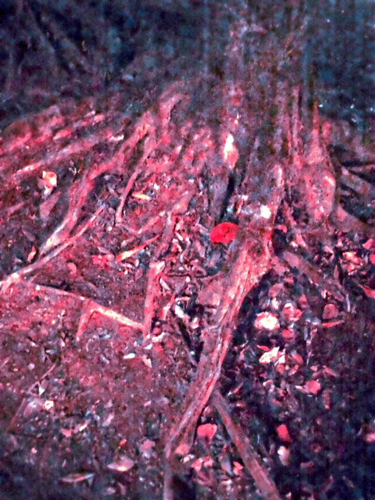 egg࡛࣪'s Strange Wonderland.🐥⸒⸒ (@egg_210) on Twitter photo 『落日』
created by egg
egg joined by
the cocaine's pix
<a href="/CocainePix/">the cocaine's pix</a>
&
NonNon∆ddiction.
<a href="/NonNonAddiction/">NonNon∆ddiction.</a>
#ヴィジュアル系
#抽象画 #現代アート #NFTs
#NFTCommunity #cryptoartist
#digitalart #Visual_kei
#NFTartist #abstractart
#芸術同盟 #創作の狼煙
#芸術の輪 #visualart 『落日』
created by egg
egg joined by
the cocaine's pix
<a href="/CocainePix/">the cocaine's pix</a>
&
NonNon∆ddiction.
<a href="/NonNonAddiction/">NonNon∆ddiction.</a>
#ヴィジュアル系
#抽象画 #現代アート #NFTs
#NFTCommunity #cryptoartist
#digitalart #Visual_kei
#NFTartist #abstractart
#芸術同盟 #創作の狼煙
#芸術の輪 #visualart