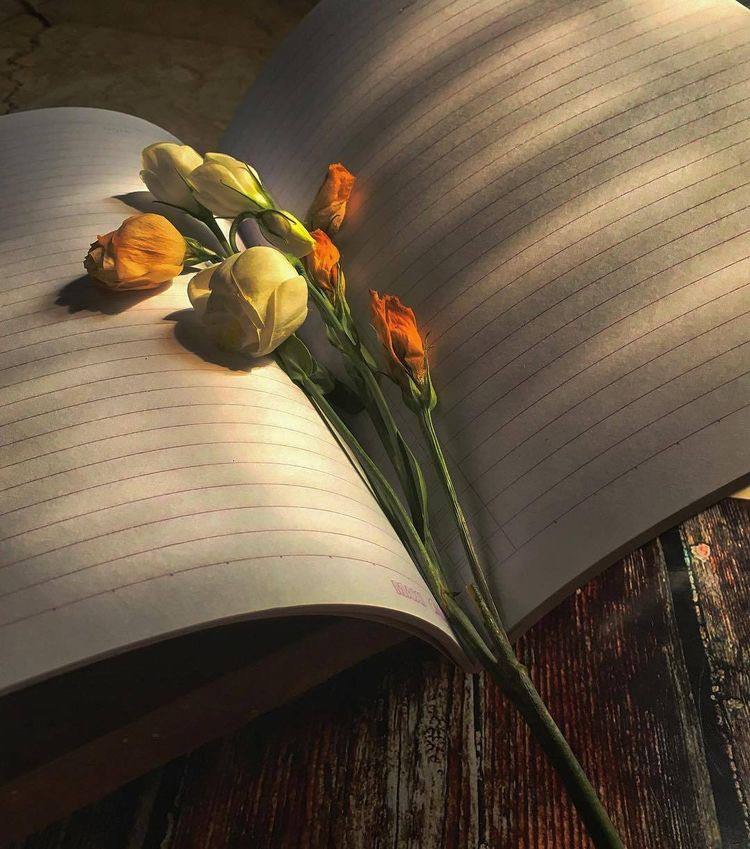 لا أكتب لتقرأ ولا أشتاق لتأتي أنا فقط أعبث بمشاعري حتى يمضي الوقت وأنام🖤🥀