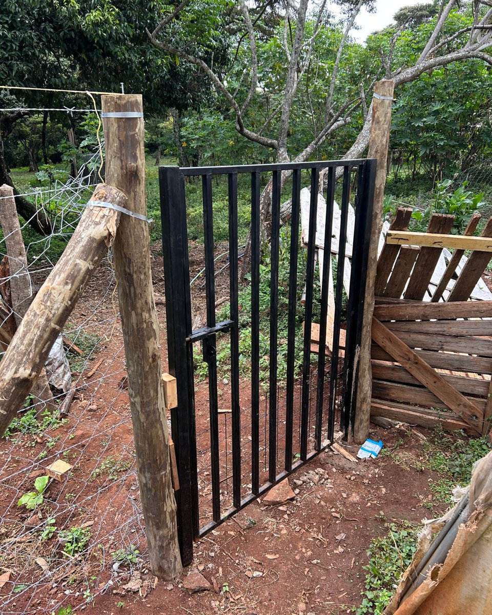 OmifloAfrica's tweet photo. The Biocentre revamp is complete!
Visit and see how Omiflo is advancing sustainable sanitation for healthier, thriving communities.

💧 Innovative systems. Resilient futures.

#BiocentreRevamp #OmifloAfrica #WASH #CleanWaterKenya #SmartSanitation https://t.co/zLOc8rpBqA