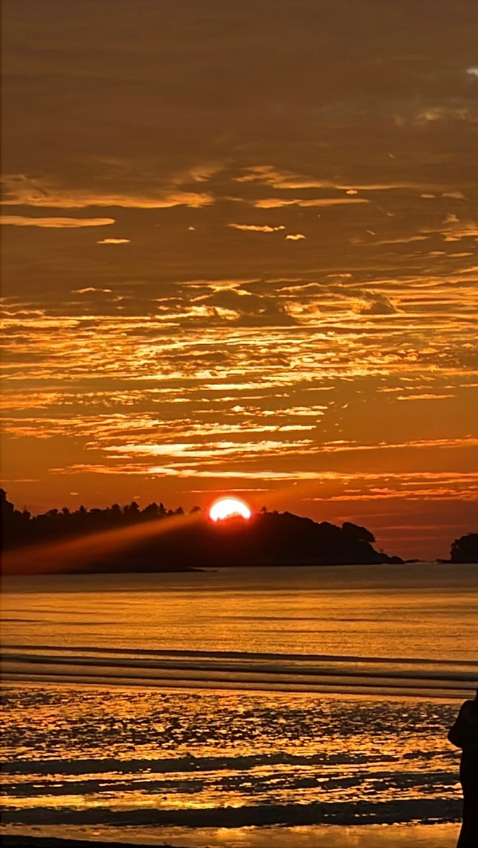 draftme_____'s tweet image. 🌅🧡