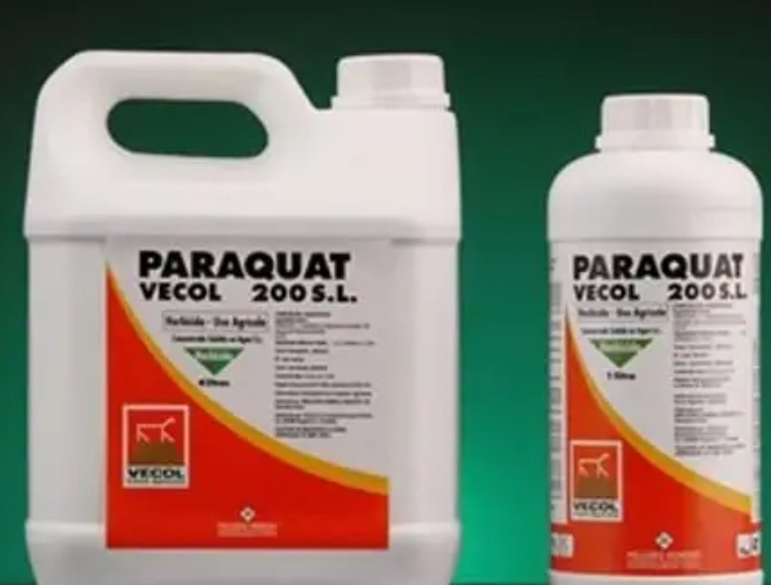 🔸😩😩😩.

We need new leaders.🇿🇼