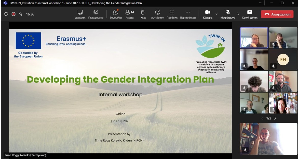 twin_in_erasmus's tweet photo. Great first step for #GenderEquality in #TWININ! 
On June 19, we held our first Gender Integration workshop, expertly led by The Research Council of Norway (Kilden).
Thanks to all who joined and contributed to shaping the GIP! 💬💡
Next stop: October workshop in Italy! 🇮🇹 https://t.co/n1KQf7sPew
