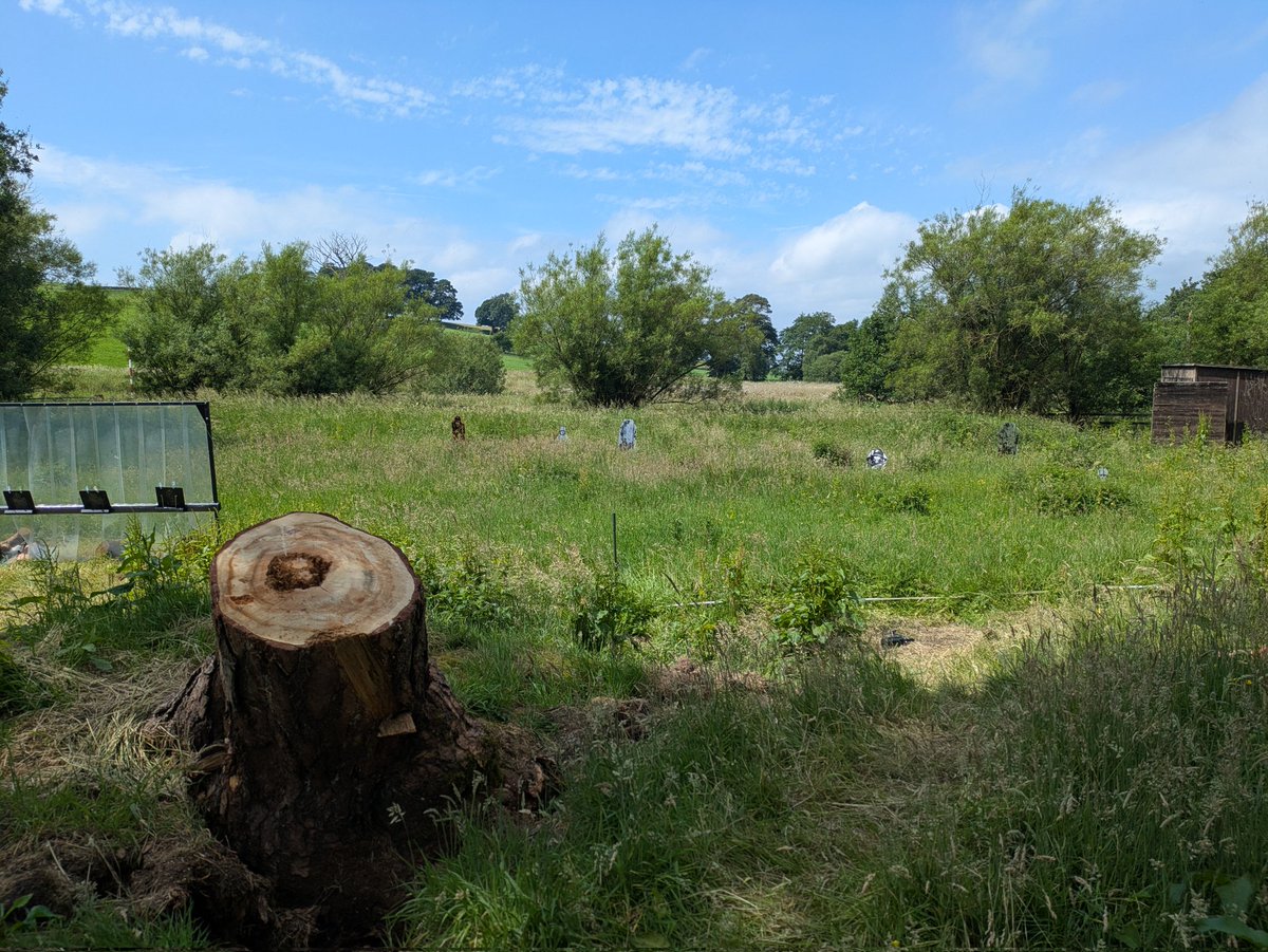 CcfScha's tweet photo. Busy few days so far on camp, yesterday revisiting prior skills and learning new things in the field and today activities included archery,PT, command tasks, drill, paintball and fieldgun training. Cadets are starting to get tired but having a great time. @HeartofHatton #teamwork https://t.co/YKEcZq8lsp