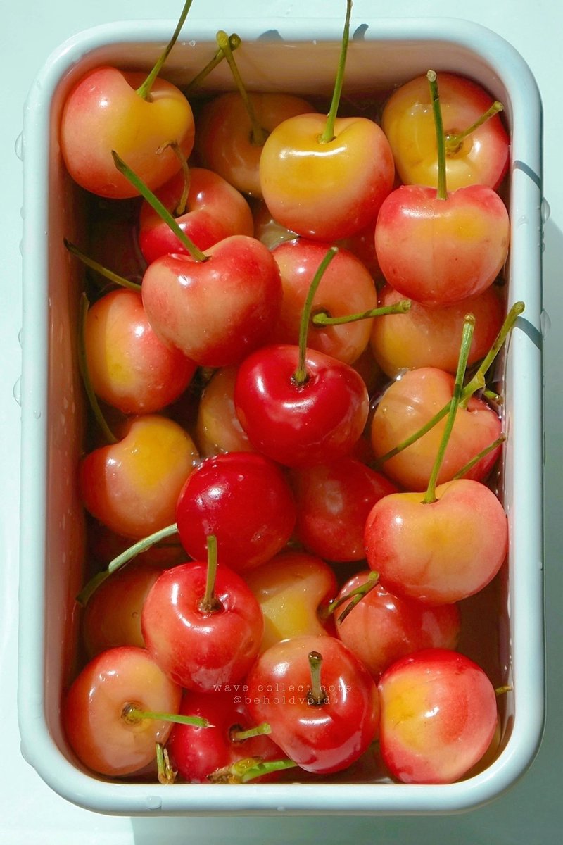 𝚌𝚘𝚝𝚎 tweet media