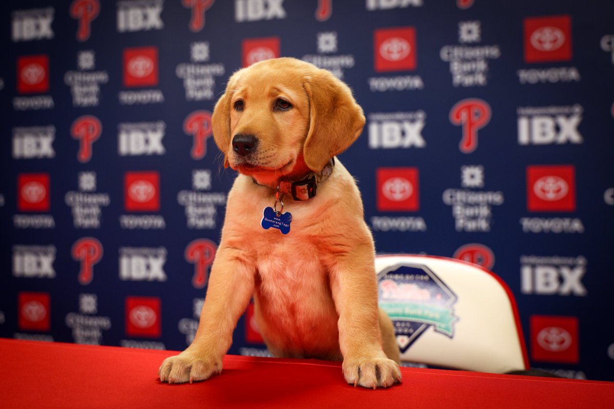 Welcome to the Phillies, Tugger! 🥹