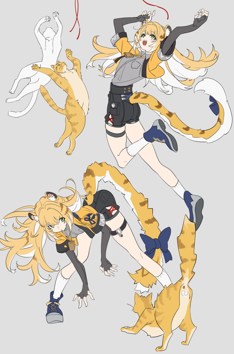 ネコちゃ…………トラ!