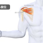 Photo by 理学療法士の臨床と発信を支援するコミュニティ『forPT』 (@forptblog)