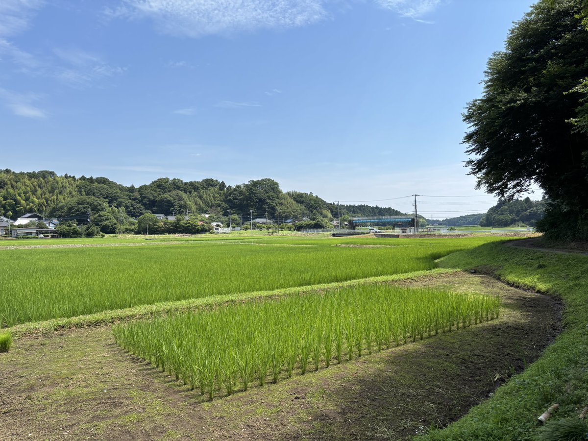 水がないっ！！