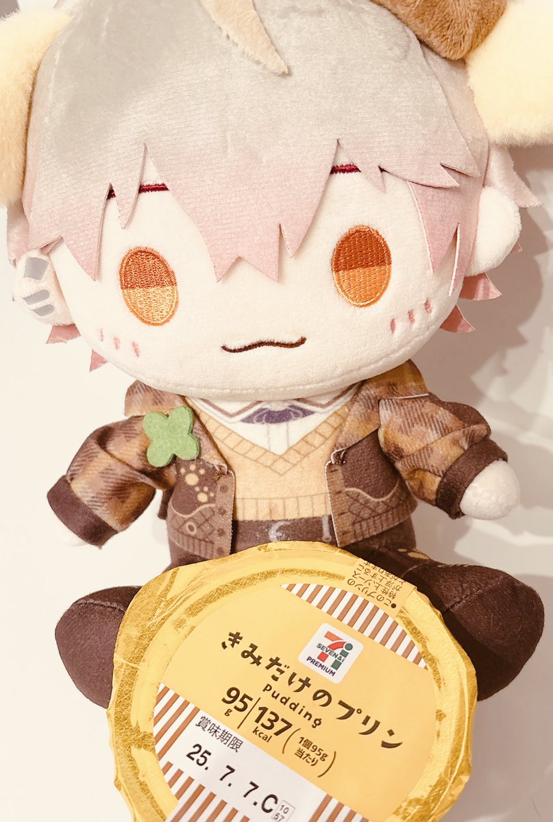 一足先にサンリオキャラクターズコラボぬいいただいたのでパシャリ🍮