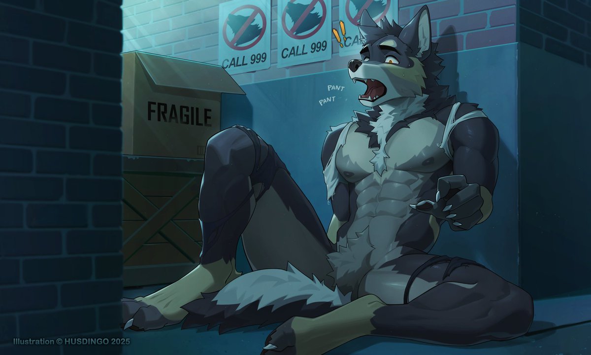 Husdingo🔜 tweet media