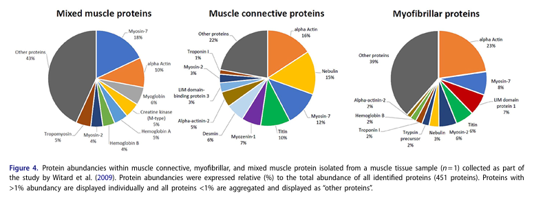 DrMyohead's tweet image. Assessing the composition of myofibrillar and muscle connective protein fractions within skeletal muscle tissue
Interesting work from @a_holwerda et al
doi.org/10.1080/104083…
