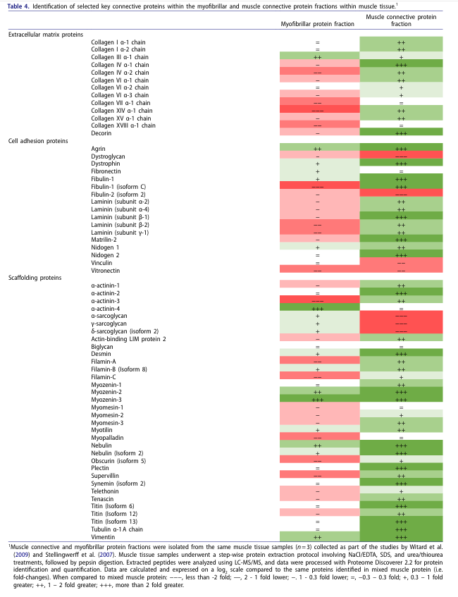 DrMyohead's tweet image. Assessing the composition of myofibrillar and muscle connective protein fractions within skeletal muscle tissue
Interesting work from @a_holwerda et al
doi.org/10.1080/104083…