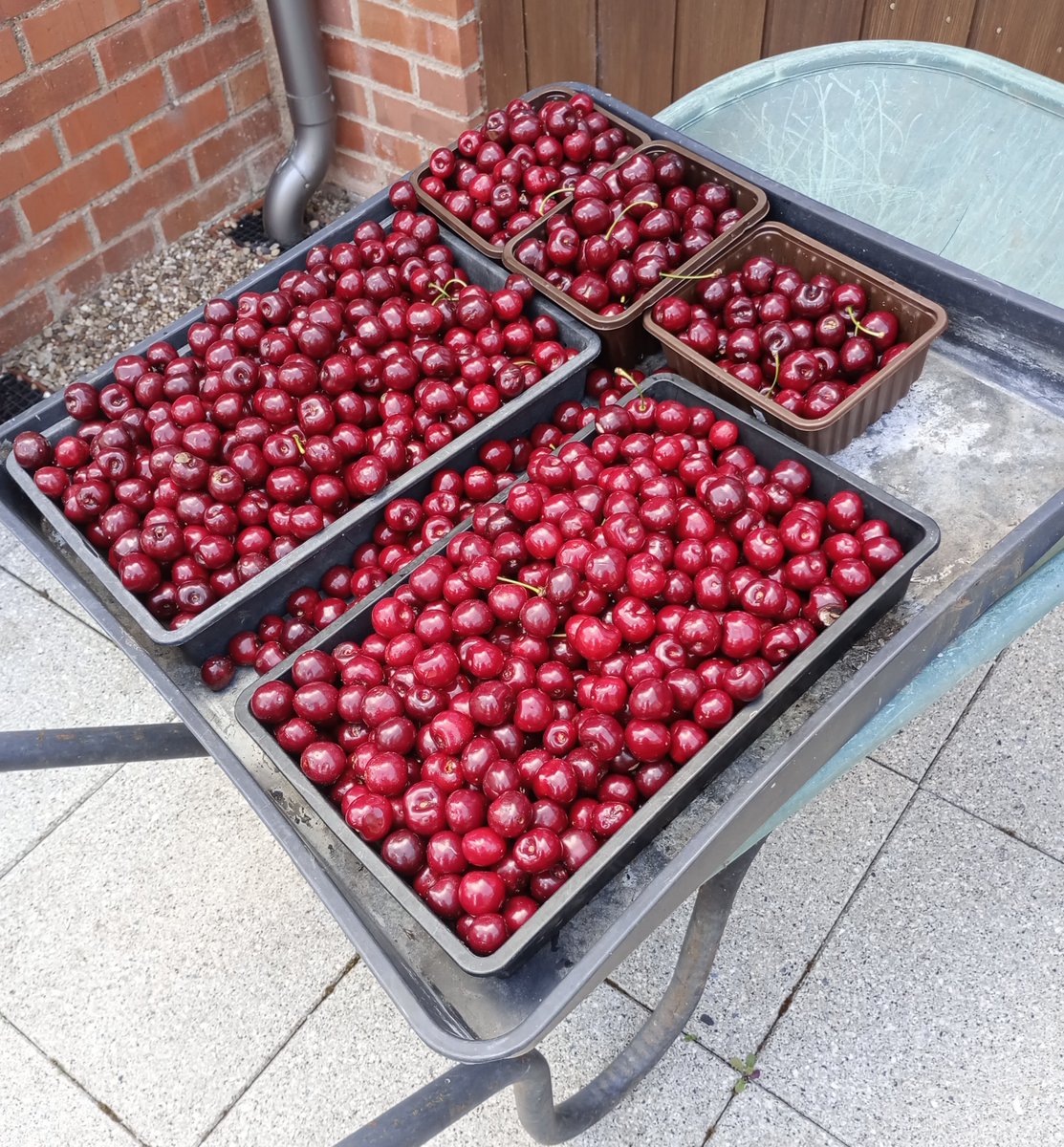 New blog post! Come and catch up with all that's being going on during June at Mucknell Abbey - including Rocky's return!

mucknellabbey.org.uk/june-2025-dige…