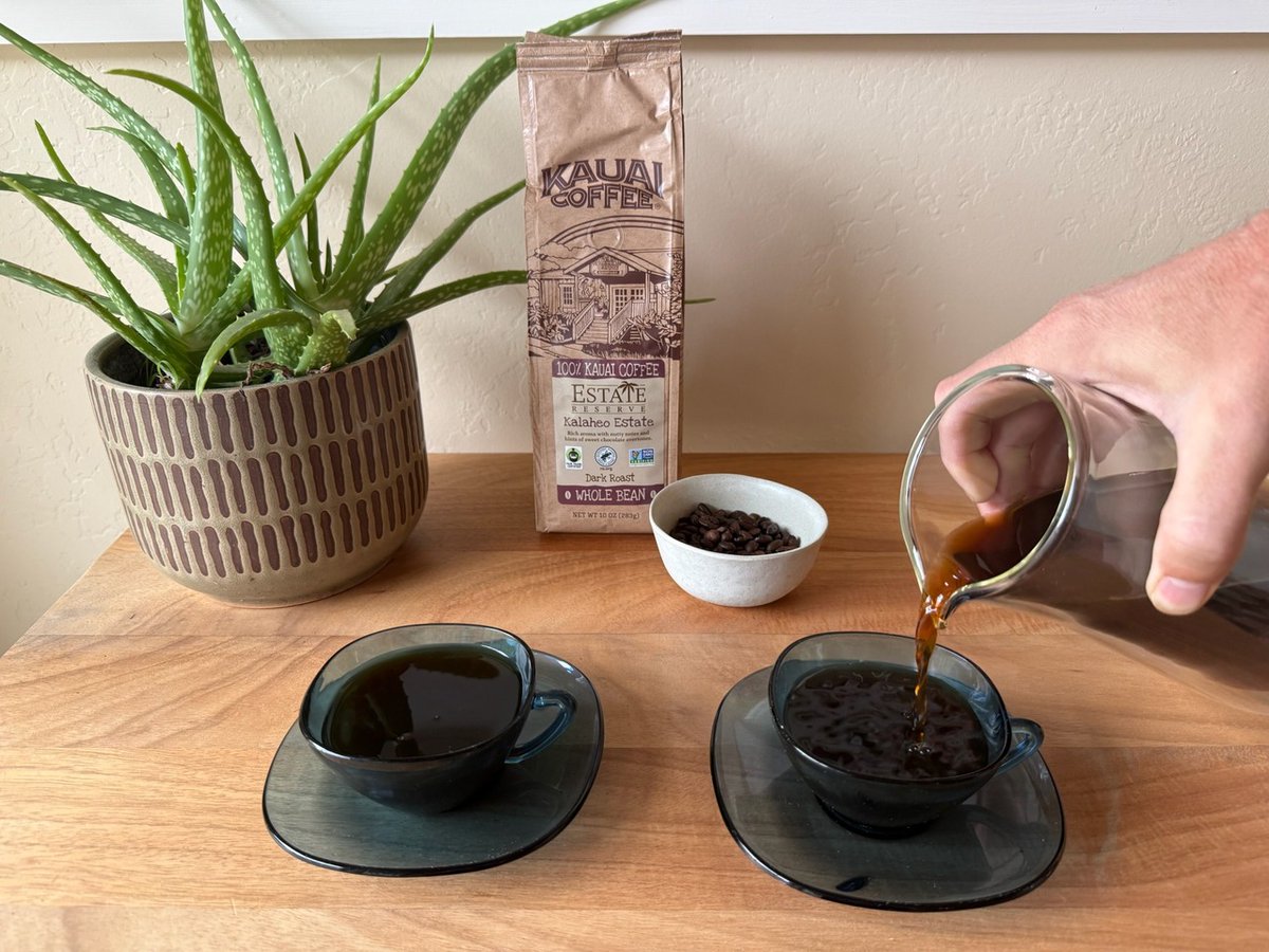 🏖️ This and a beach day or we don't want it.